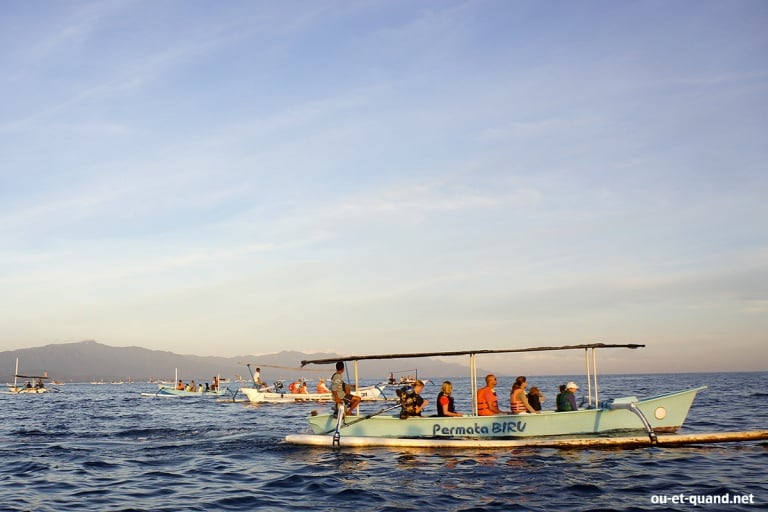  Bali  Observer les dauphins  Lovina Beach en bateau 