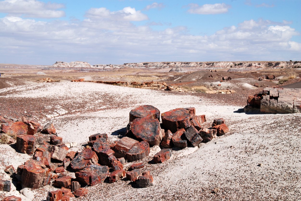 Petrified Forest