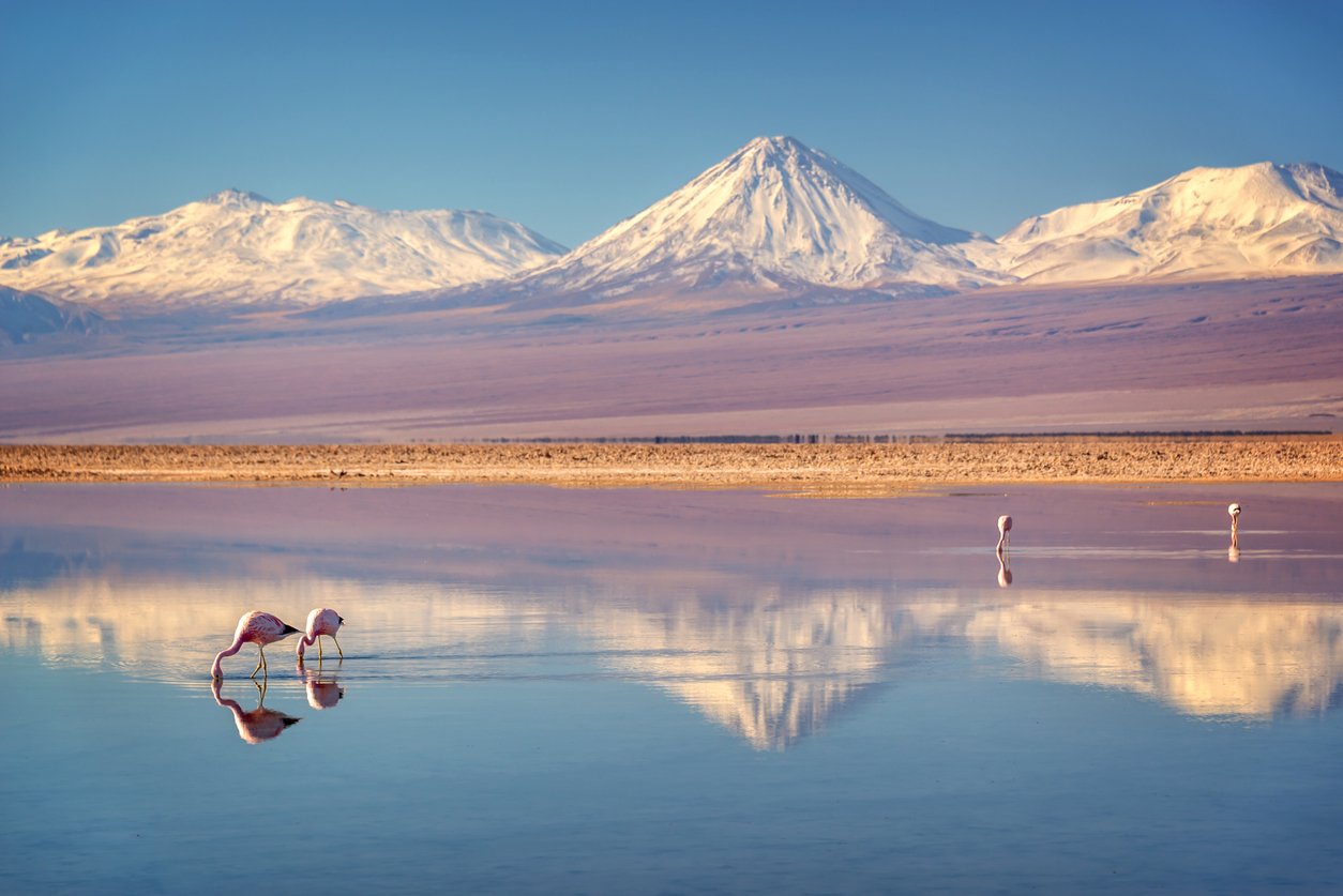 salar de Atacama Chili