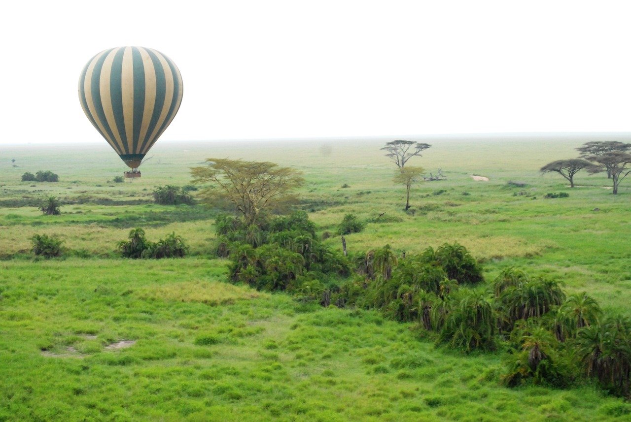 montgolfiere Serengeti