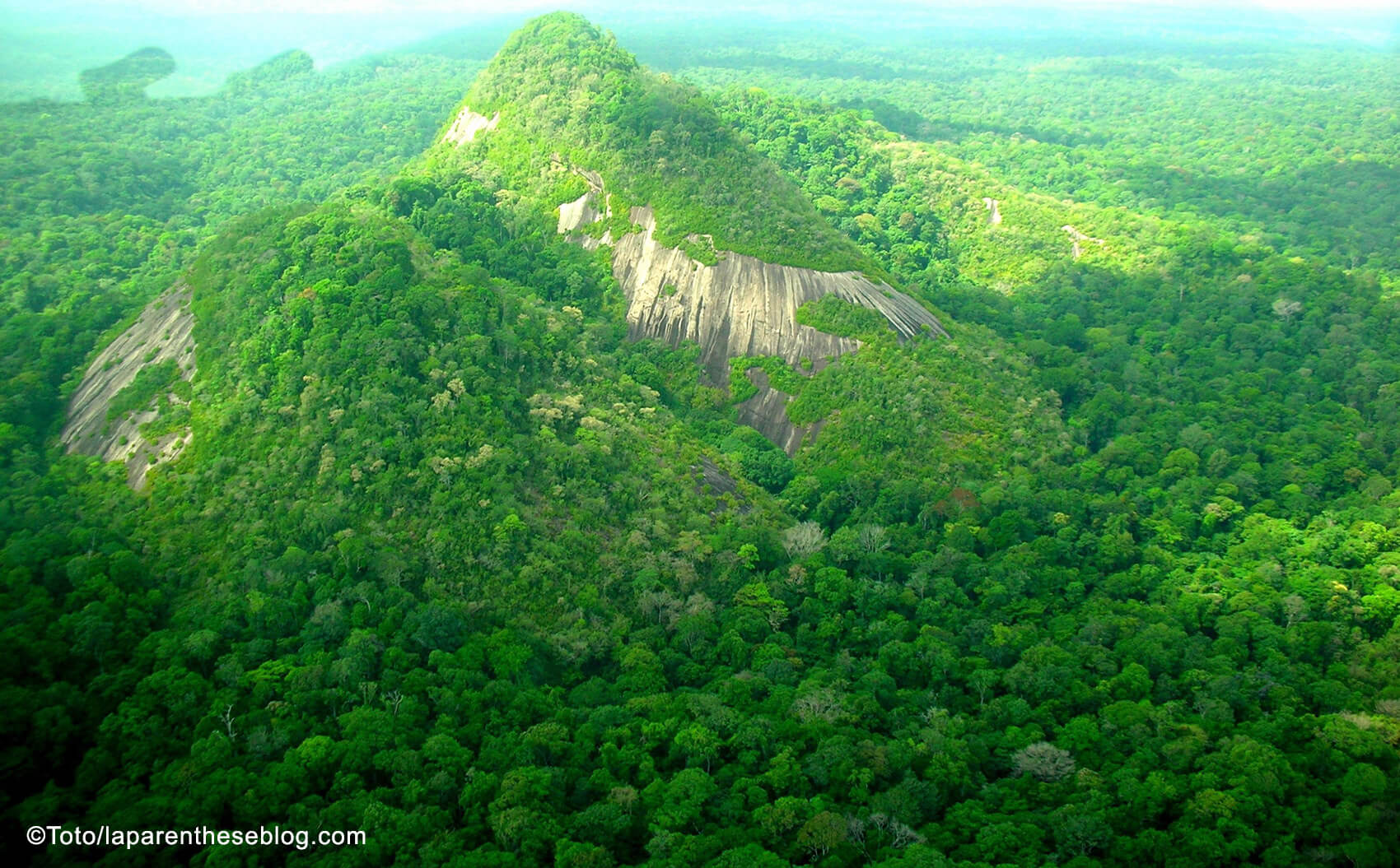 La Guyane, destination authentique au coeur de la forêt ienne 