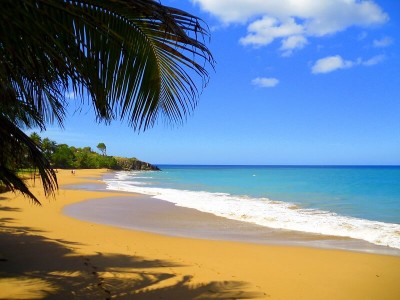 L'île de la Désirade : Climat, Température, Quand Partir…, Guadeloupe