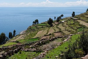 Juliaca (lac Titicaca) : 