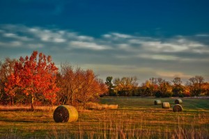 Kansas : 