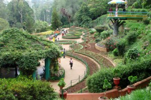 Ooty : 