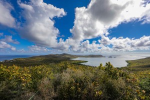 presqu'île de la Caravelle : 