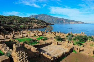 Tipaza : 