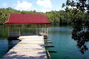 Îles Togian : 